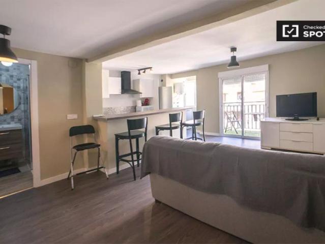 Whole 3 bedrooms apartment in València