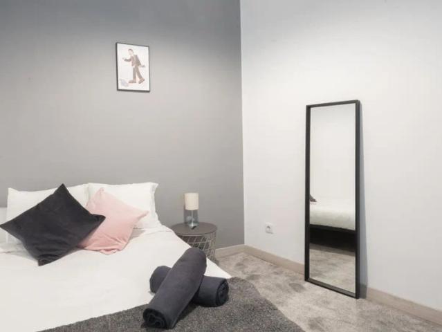 Whole apartment in Madrid
