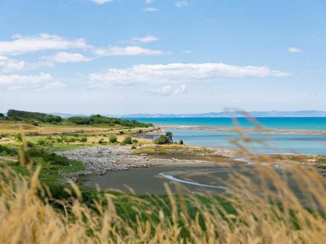 Whakamahi Road, Wairoa