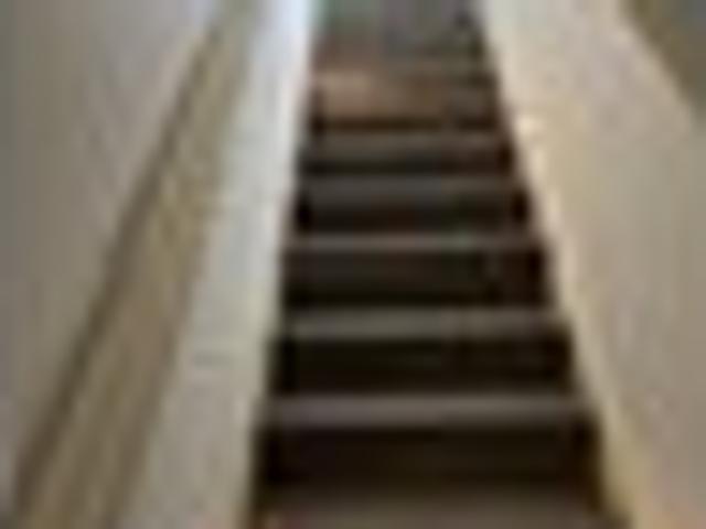 Whakamarama, 2 bedrooms, $680 pw