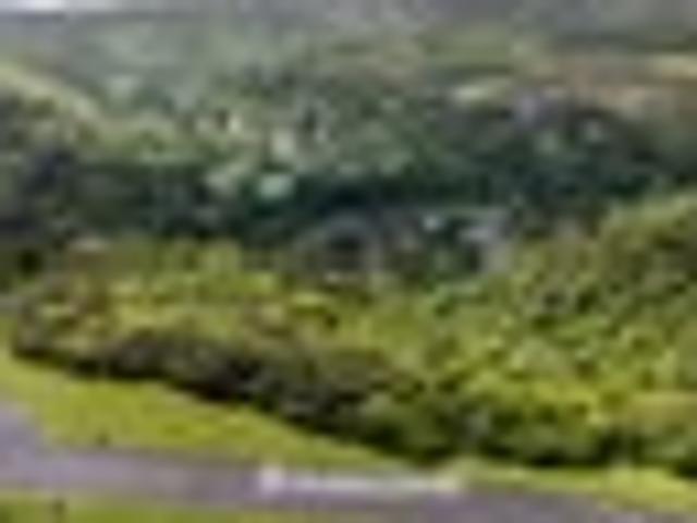Where Landscape Shapes Living