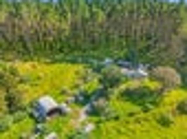 Where privacy, nature and comfort meet