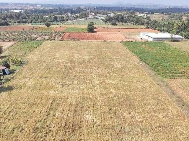 Whitefield, East Bangalore Commercial Land 10 Acre in Whitefield Bangalore Listing ID: #9980