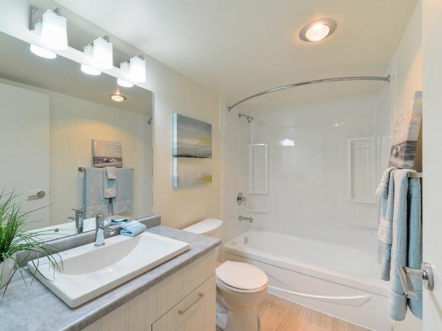 Whitehall Square 1 Bedroom Apartment for Rent at 15503 87 Ave Nw, Edmonton, AB T5R 4K4 Lynnwood