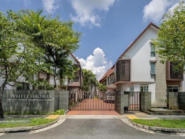 Whiteshores D19, Terrace
