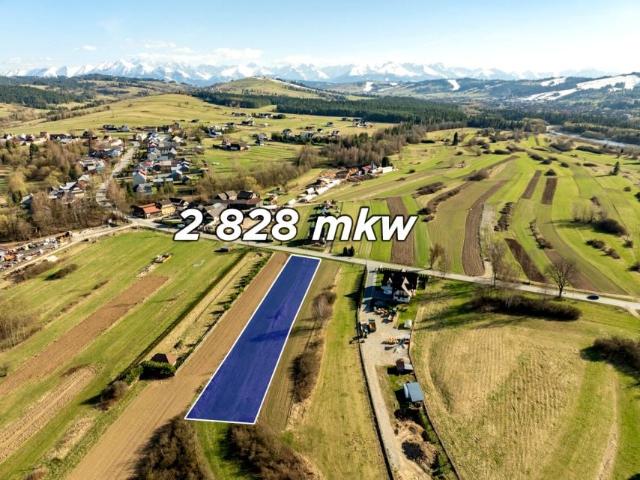 Świętej Elżbiety 2 828 m², Trybsz