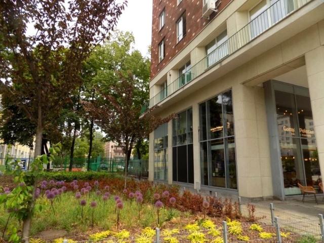 Świętokrzyska 18,60 m², Warszawa