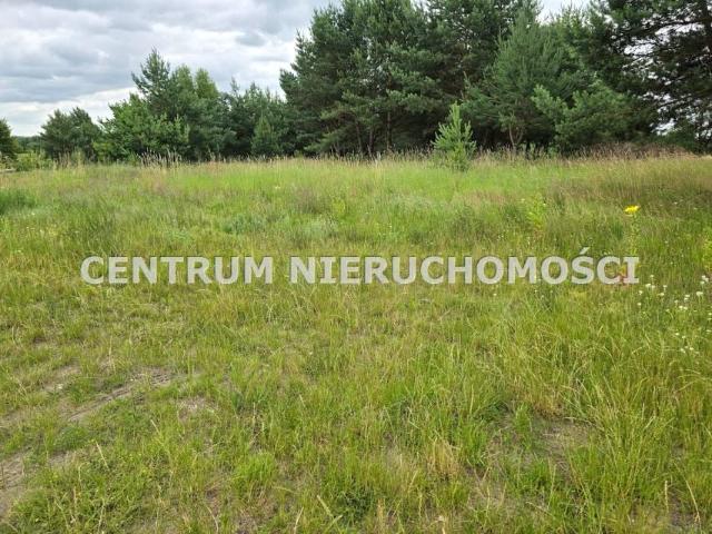 Świętokrzyska 1 268 m², Bydgoszcz