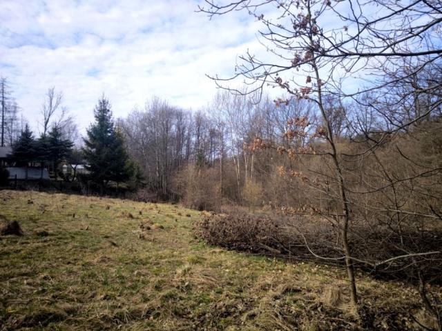 Świątnicka 1 374 m², Mogilany