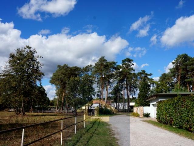 Wiązowska 2 427 m², Józefów