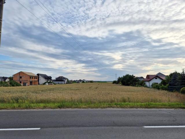 Więckowska 780 m², Dopiewo