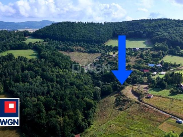 Święcko 3 465 m², Święcko