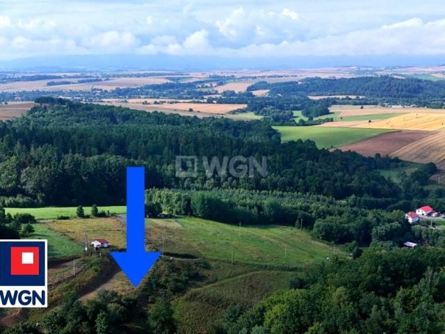 Święcko 1 716 m², Święcko