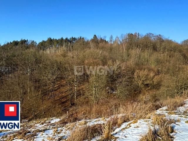 Święcko 7 764 m², Święcko