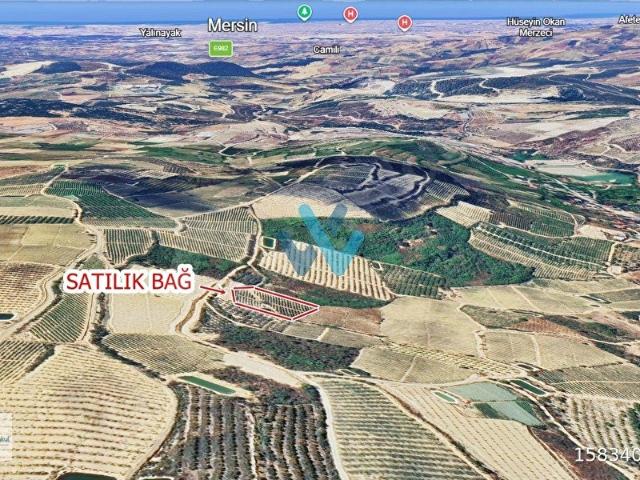 WİN'DEN TOROSLAR MUSALI'DA TAKASA AÇIK SATILIK BAĞ
