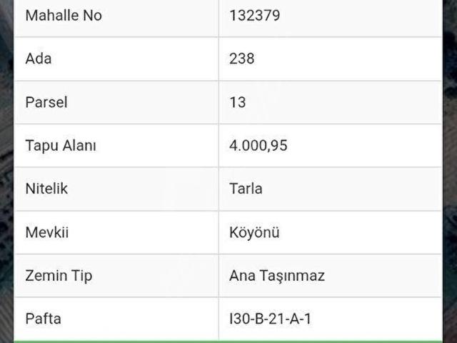 WİNNEST'TEN KUŞCUALİ KÖY İÇİNE YAKIN TEK TAPU 4 DÖNÜM