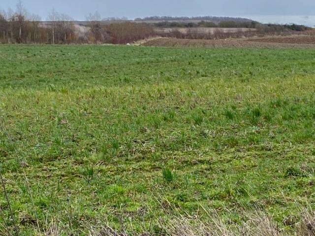 Wimille Vente Terrain 62