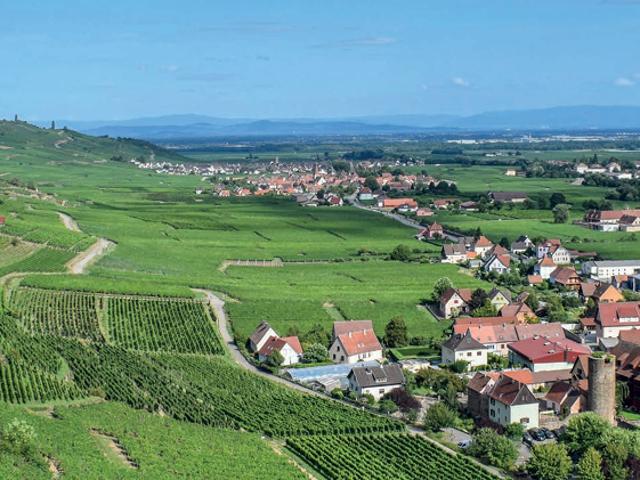 Wintzenheim Vente Appartement 68