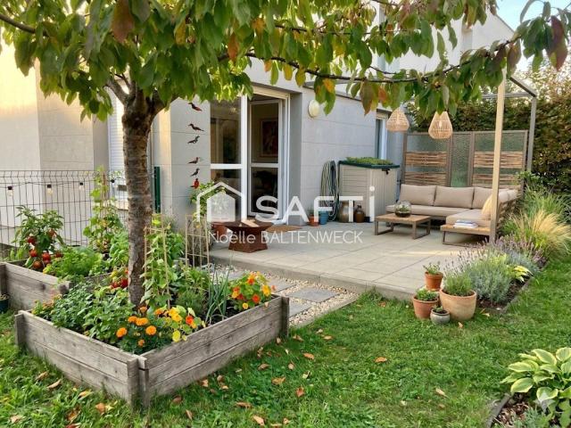 Colmar Vente Appartement 68