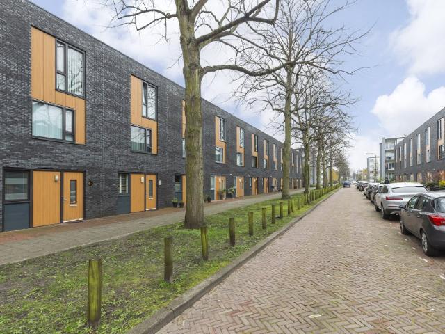 Windesheimstraat, Den Haag