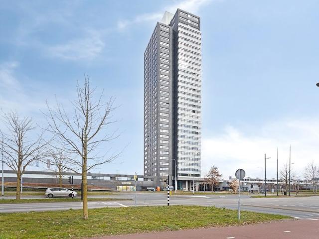 Winkelcentrum Woensel 181, 5625AG, Eindhoven, Noord Brabant 5625AG