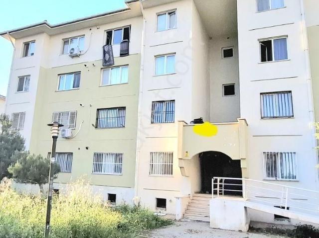 Winstownavmyanı kısasürelikfiyat fulleşyalı sosyaltoki1.kat 1+1