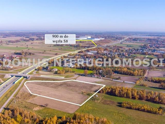 Wiatraczna 26 000 m², Piotrków Trybunalski
