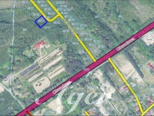 Świdnica 958 m², Zielona Góra