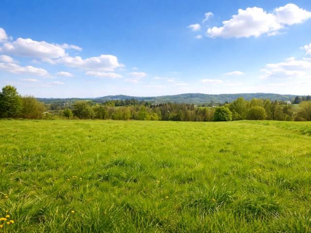 Widokowa 11 600 m², Wola Radziszowska