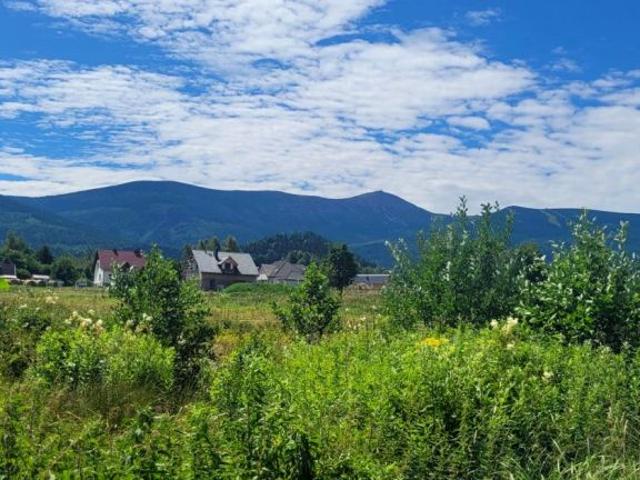 Widokowa 1 765 m², Ściegny