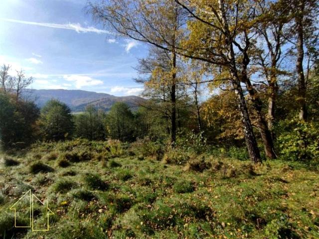 Widokowa 2 600 m², Brenna