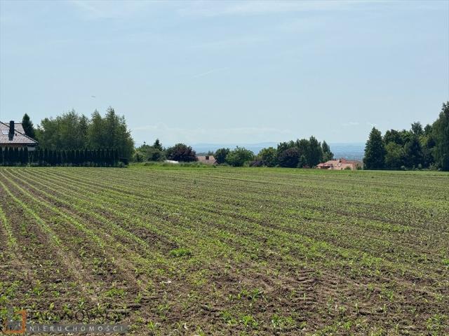 Widokowa działka budowlana 4116 m2 w Górnej Wsi