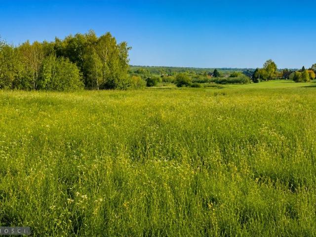 Widokowa działka z pozwoleniem na budowę domu w Smardzowicach