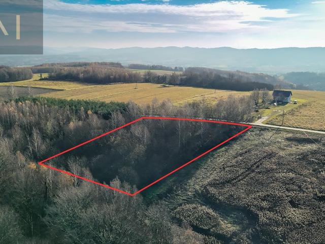 Widokowa działka 4,5 ha z mediami i lasami