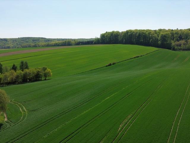 Widokowe działki budowlane 10 i 15 ar w Kępie, blisko Krakowa