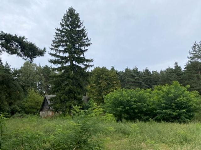 Wiewiórcza 3 547 m², Pobiedziska