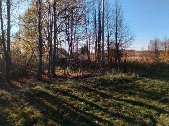 Świecie 5 378 m², Świecie