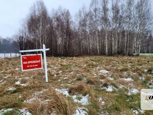 Świecie 950 m², Leśna