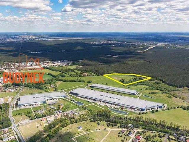 Wiejska, Wyczynowa 55 256 m², Lisi Ogon