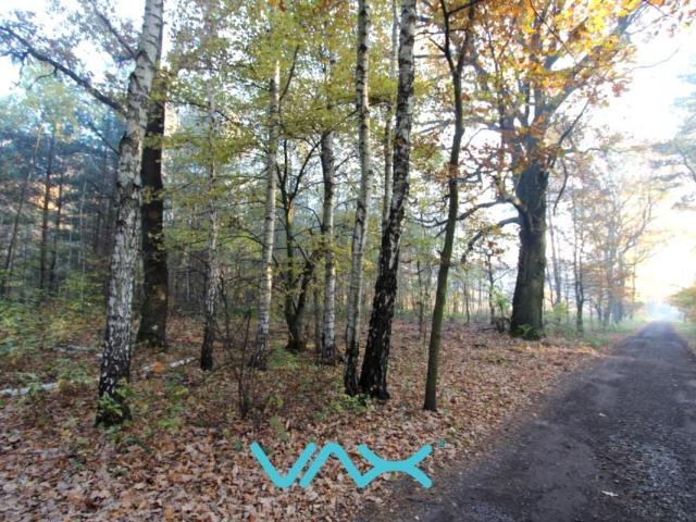 Piaskowa 1 684 m², Mikołów