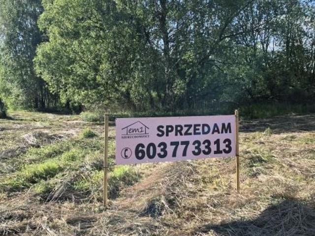 Wiejska 854 m², Pyskowice