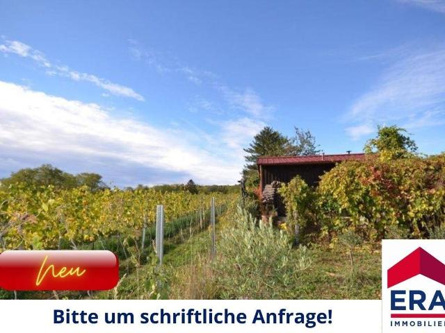 Wien KAUF Reizendes Tinyhaus am Bisamberg