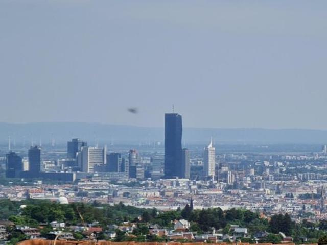Wienblick in Grünruhelage | Doppelhaushälfte