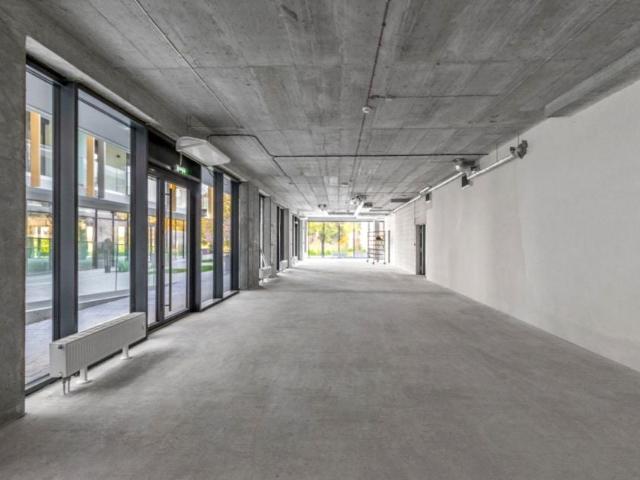 Wieniawska 180 m², Lublin