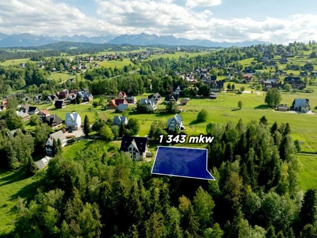 Wierch Głodowski 1 343 m², Bukowina Tatrzańska