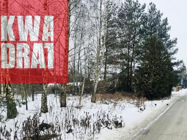 Świerkowa 1 751 m², Korytów A