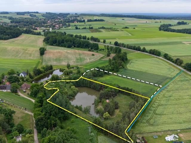 Działka 12 324 m² z własnym stawem i starodrzewiem