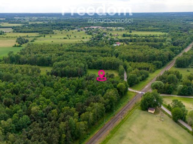 Wiklinowa 3 000 m², Ludwików