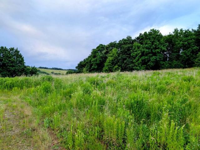 Wilcza 3 000 m², Cieszów