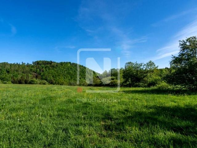Wilcza 113 715 m², Karpacz